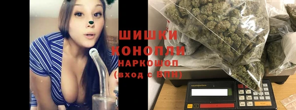 первитин Новозыбков