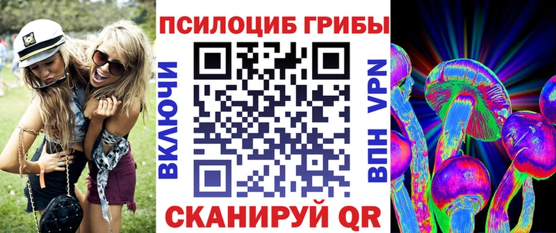 Псилоцибиновые грибы Psilocybe  кракен вход  darknet официальный сайт  Пятигорск 