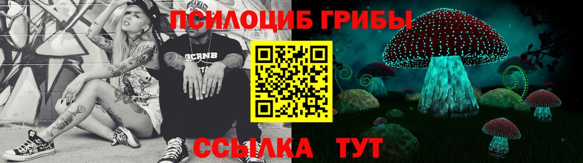 Пятигорск  Псилоцибиновые грибы ЛСД  наркошоп  Вход с VPN 