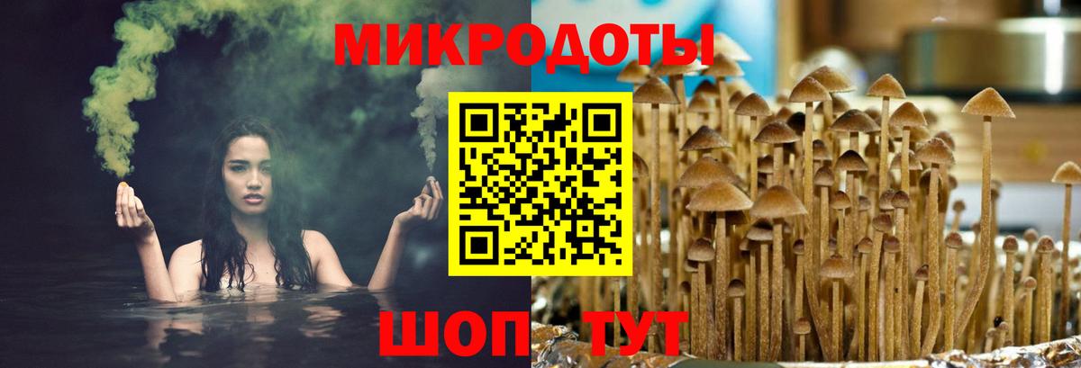 Галлюциногенные грибы мухоморы Пятигорск
